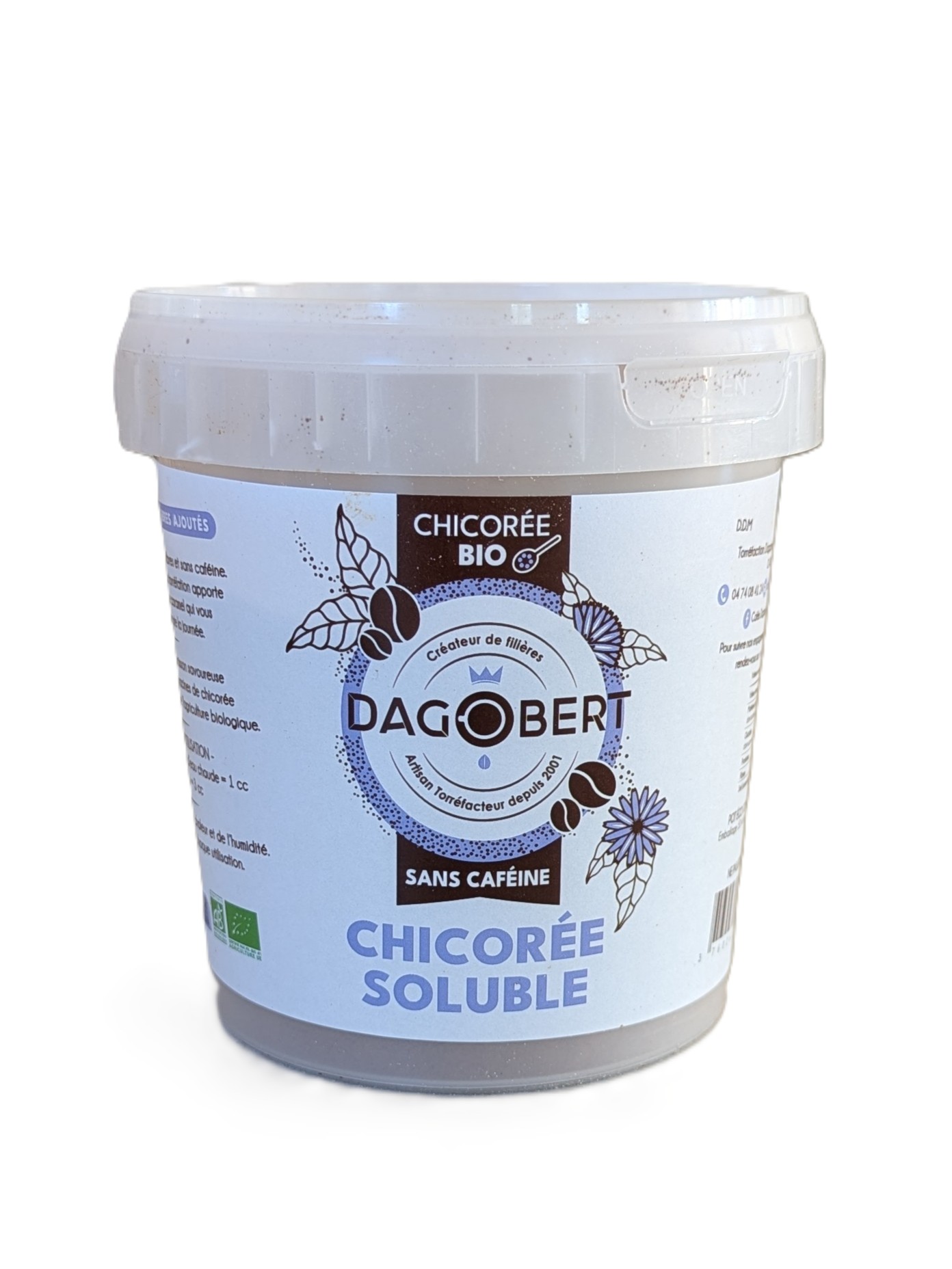 Chicorée Dagobert